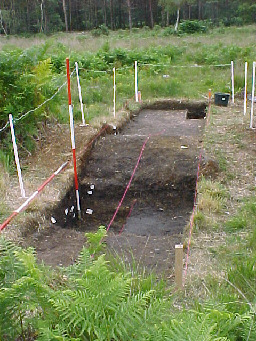 Trench at Site One