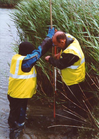 Coring by reeds, Otter Island