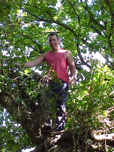 Nigel in tree