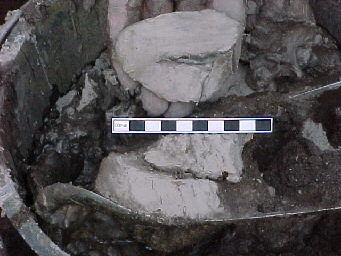 Clay with root in core sample from TR01